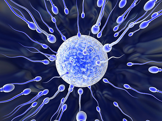 포토 JPG 해외이미지 어린이 컨셉 일러스트 가족 세포 사랑 씨앗 사람 사람없음 그래픽 약 3D 디지털 계란 경쟁 임신 아기 우승 진화 군중 생물학 만들기 바이오 승자 해외202004 해외포토 레이스천 식물 교육 감정 의학 관계 모션 알 직물 최고 소방 디지털합성 파일형식