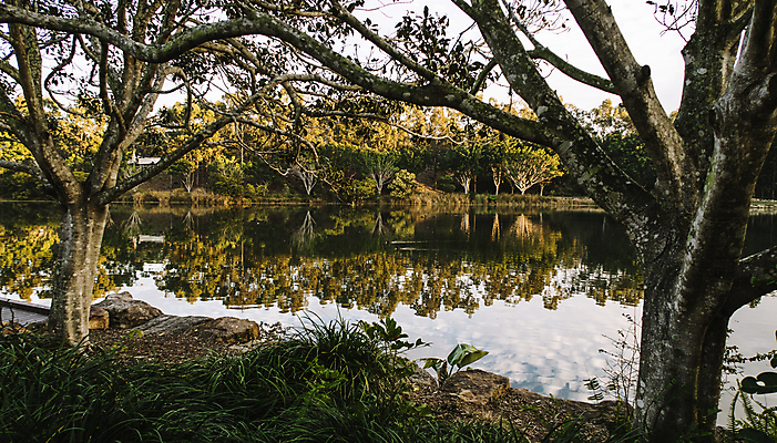 포토 JPG 해외이미지 나무 공원 호수 백그라운드 자연 하늘 아침 휴식 풍경 사람없음 초록색 물 파란색 반사 침묵 연못 장면 해외202004 해외포토 주간 자연요소 식물 공공시설 컬러 컨셉 소리 생태계 파일형식