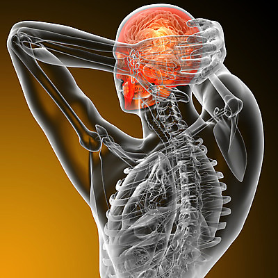 포토 JPG 해외이미지 해부 뼈 골격 사람 사람없음 머리 턱 해골모형 해외202004 해외포토 의학 신체부위 모형 파일형식