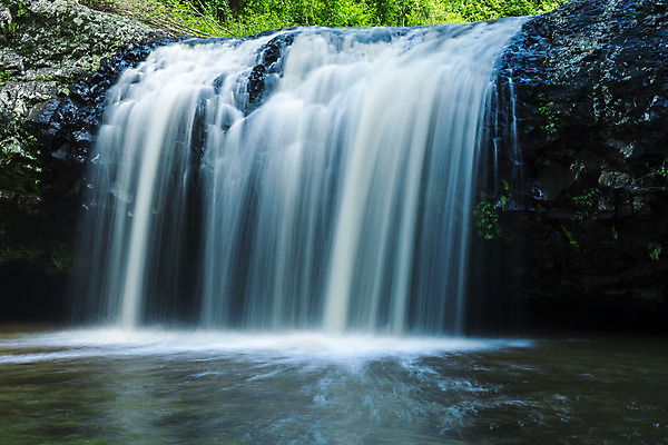 포토 JPG 해외이미지 여행 잎 자연 풍경 사람없음 야외 초록색 물 환경 침묵 폭포 젖음 바위 신선 개울 호주 떨어짐 숲 열대우림 국경 해외202004 해외포토 자연요소 식물 컬러 컨셉 강 소리 돌_바위 오세아니아 생태계 파일형식