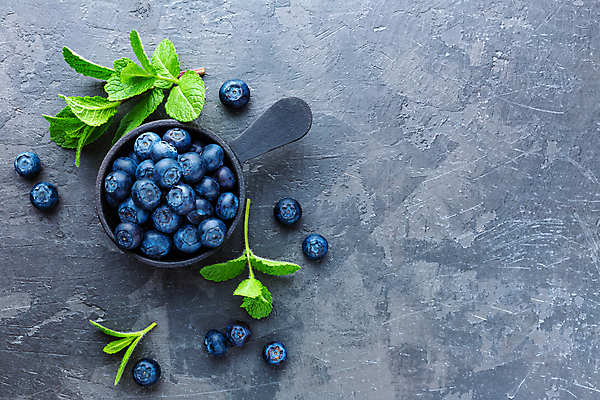 포토 JPG 해외이미지 무료이미지 백그라운드 회색배경 사람없음 하이앵글 민트 블루베리 플랫레이 해외202004 해외포토 뷰포인트 과일 회색 플랫 허브 파일형식 무료콘텐츠