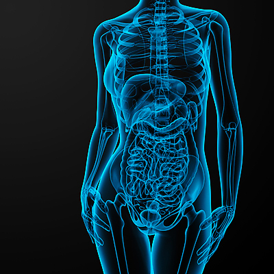 포토 JPG 해외이미지 여자 과학 신체 일러스트 해부 뼈 골격 엑스레이 건강 사람 사람없음 그래픽 파란색 3D 생물학 해외202004 해외포토 교육 컬러 의학 디지털합성 파일형식