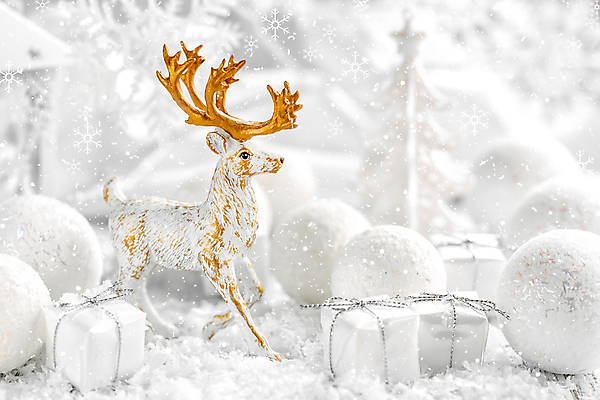 포토 JPG 해외이미지 무료이미지 디자인 백그라운드 크리스마스장식 크리스마스 겨울 크리스마스용품 사람없음 선물상자 장식볼 흰색 눈송이 12월 순록 오너먼트 해외202004 해외포토 계절 기념일 컬러 눈_날씨 선물 장식 상자 날짜 용품 파일형식