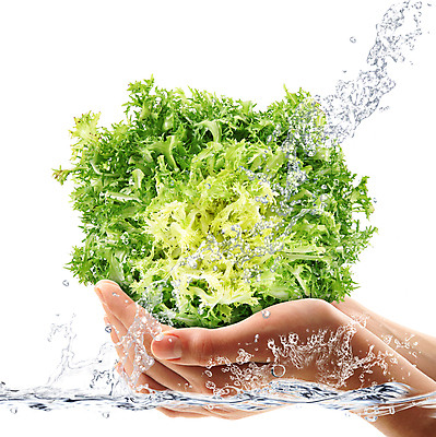 포토 JPG 해외이미지 무료이미지 손 컨셉 채소 들기 신체부위 신선 흰배경 치커리 스플래쉬 해외202004 해외포토 백그라운드 모션 사람 흰색 파일형식 무료콘텐츠