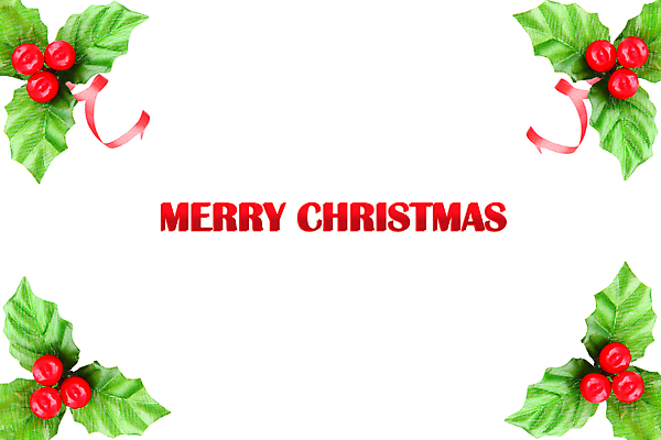 포토 JPG 해외이미지 스튜디오촬영 식물 아이콘 전통 계절 열매 리본 잎 크리스마스장식 크리스마스 겨울 과일 자연 휴가 새해 프레임 사람없음 장식 초록색 장난감 축제 흰색 나뭇가지 축하 12월 자르기 심볼 오브젝트 흰배경 고립 국경 해외202004 해외포토 나무 기념일 컬러 백그라운드 컨셉 모션 실내 날짜 생태계 파일형식