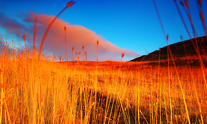 포토 JPG 해외이미지 구름 밭 자연 하늘 산 풍경 초원 사람없음 야외 농장 일몰 가을 밀 해외202004 해외포토 자연요소 계절 농업 곡류 노을 생태계 파일형식