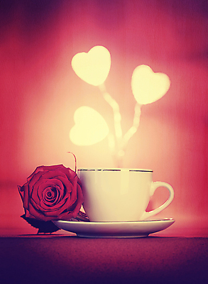 포토 JPG 해외이미지 모양 무료이미지 디자인 백그라운드 컨셉 탁자 사랑 사람없음 장식 컵 빨간색 빛 장미 하트 커피잔 광 구성 정물화 해외202004 해외포토 식기 꽃 감정 커피 컬러 가구 잔 그림 파일형식 무료콘텐츠