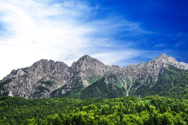포토 JPG 해외이미지 주간 무료이미지 자연 산 풍경 사람없음 야외 해외202004 해외포토 자연요소 생태계 파일형식 무료콘텐츠