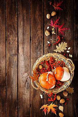 포토 JPG 해외이미지 무료이미지 백그라운드 잎 탁자 호박 사람없음 목재 바구니 가을 추수감사절 나무배경 해외202004 해외포토 나무 식물 계절 기독교 가구 채소 재료 파일형식