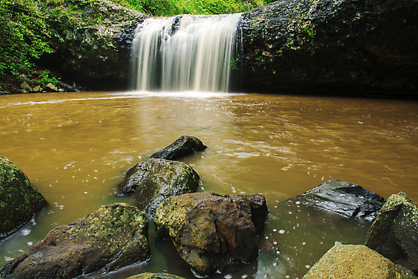 포토 JPG 해외이미지 여행 잎 자연 풍경 사람없음 야외 초록색 물 환경 침묵 폭포 젖음 바위 신선 개울 호주 떨어짐 숲 열대우림 국경 해외202004 해외포토 자연요소 식물 컬러 컨셉 강 소리 돌_바위 오세아니아 생태계 파일형식