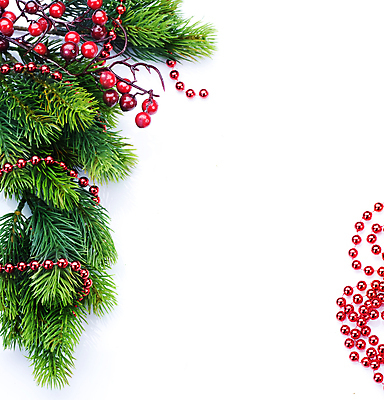 포토 JPG 해외이미지 나무 식물 전통 디자인 계절 열매 조각 백그라운드 크리스마스 겨울 텍스트 자연 휴가 새로움 프레임 사람없음 장식 빨간색 초록색 빛 공백 흰색 나뭇가지 축하 소나무 화려 모서리 닫기 연도 싱글 상록수 전나무 내추럴 고립 엘리먼트 옛날 가문비나무 스타일 국경 해외202004 해외포토 기념일 컬러 컨셉 모션 생태계 파일형식