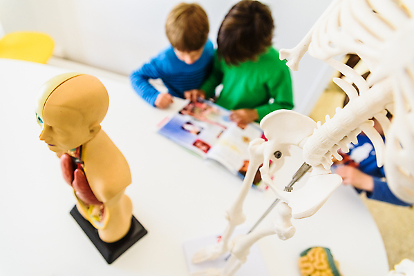 포토 JPG 해외이미지 백인 모델 학생 여자 교육 행복 얼굴 과학 해부 교실 학교 실내 건강 실험 미술 사람 사람없음 목재 10대 학습 스터디 금발 숫자 약 교사 흰색 잡기 가르침 실험실 마네킹 생물학 고립 해외202004 해외포토 서양인 나무 직업 문자 헤어스타일 감정 컬러 재료 의학 모션 청소년 문화예술 내부 신체부위 파일형식