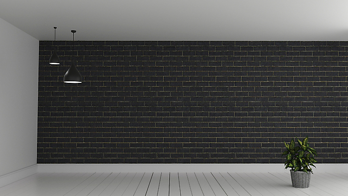 포토 JPG 해외이미지 무료이미지 화분 벽 실내 사람없음 인테리어 3D 검은색 방 해외202004 해외포토 디자인 컬러 내부 디지털합성 파일형식 무료콘텐츠