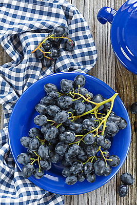 포토 JPG 해외이미지 식물 접시 계절 열매 음식 백그라운드 잎 농업 과일 재료 자연 탁자 포도 디저트 건강 사람없음 목재 빨간색 초록색 파란색 주방 와인 보라색 어둠 수확 가을 나뭇가지 시골 신선 달콤 맛 다발 먹기 유기농 포도나무 비타민 내추럴 메를로 숙성 채식주의자 비건 해외202004 해외포토 나무 식기 웰빙 산업 컬러 가구 컨셉 모션 주류 과일나무 생태계 채식 영양소 파일형식