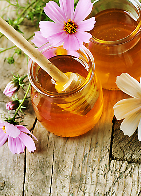 포토 JPG 해외이미지 무료이미지 꽃 백그라운드 유리 사람없음 달콤 꿀단지 벌꿀 허니디퍼 해외202004 해외포토 식물 재질 도구 맛 꿀 파일형식 무료콘텐츠