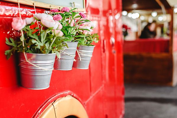 포토 JPG 해외이미지 무료이미지 꽃 화분 백그라운드 매달리기 사람없음 야외 아웃포커스 장식 원예 해외202004 해외포토 식물 모션 촬영기법 취미 파일형식 무료콘텐츠