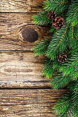 포토 JPG 해외이미지 나무 디자인 배너 계절 백그라운드 크리스마스 겨울 패턴 자연 벽지 표면 날씨 휴가 새로움 프레임 사람없음 목재 장식 초록색 우주 공백 수확 골동품 나뭇가지 시골 인사 바늘 신용카드 널 12월 연도 질감 복고 전나무 원뿔 내추럴 그런지 노엘 수목 옛날 가문비나무 국경 해외202004 해외포토 도형 식물 기념일 컬러 컨셉 무늬 농업 재료 금융 도구 예절 날짜 생태계 파일형식