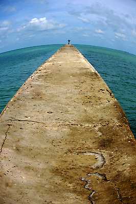 포토 JPG 해외이미지 나무 구름 실루엣 모래 파도 바다 섬 여행 백그라운드 오렌지 자연 벽지 하늘 날씨 추상 휴가 휴식 풍경 사람없음 야외 빨간색 물 여름 파란색 빛 컬러풀 반사 노란색 어둠 침묵 황혼 꿈 낭만 달 흰색 만 황금 야간 저녁 휴양지 해외202004 해외포토 자연요소 식물 계절 컬러 컨셉 무늬 과일 촬영기법 소리 일몰 장소 생태계 파일형식