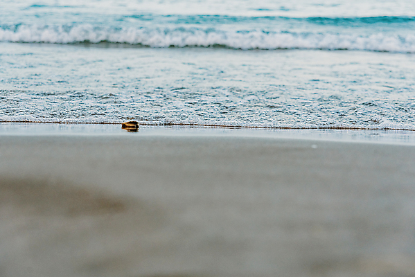 포토 JPG 해외이미지 모래 파도 바다 섬 백그라운드 자연 하늘 휴가 휴식 풍경 사람없음 야외 물 여름 파란색 모래사장 반사 평화 침묵 낭만 전원 만 고독 휴양지 장면 이국적 터키석 파라다이스 수평선 해외202004 해외포토 자연요소 계절 감정 컬러 컨셉 소리 장소 전기에너지 보석 생태계 파일형식
