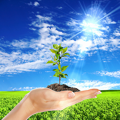 포토 JPG 해외이미지 무료이미지 하늘 들기 신체부위 햇빛 새싹 환경 흙 해외202004 해외포토 식물 모션 사람 태양 파일형식 무료콘텐츠