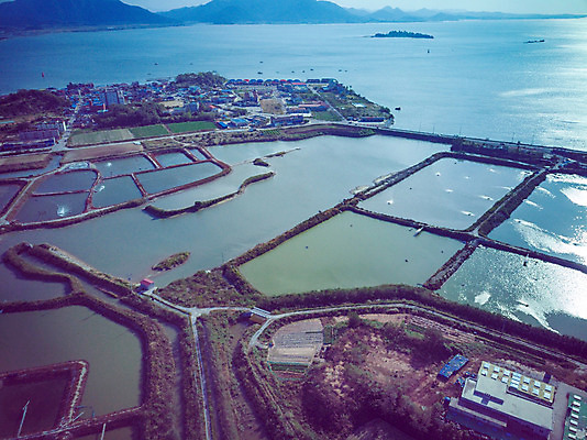 포토 JPG 주간 여행 한국 풍경 사람없음 야외 하이앵글 가을 항공촬영 곰소염전 국내여행 전경 국내포토 자연요소 계절 아시아 뷰포인트 부안 염전 파일형식 탑뷰