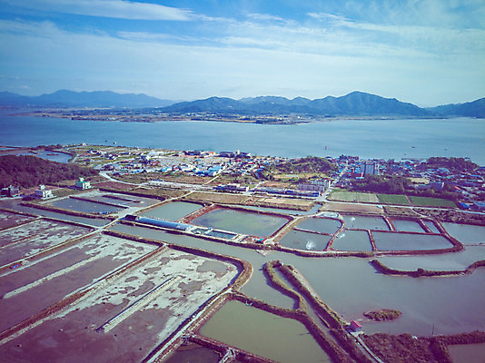 포토 JPG 주간 구름 여행 하늘 한국 풍경 사람없음 야외 하이앵글 가을 항공촬영 곰소염전 국내여행 전경 국내포토 자연요소 계절 아시아 뷰포인트 부안 염전 파일형식 탑뷰