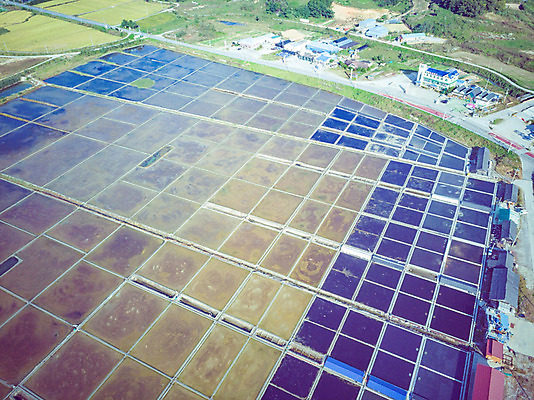 포토 JPG 주간 여행 한국 풍경 사람없음 야외 하이앵글 가을 항공촬영 곰소염전 국내여행 전경 국내포토 자연요소 계절 아시아 뷰포인트 부안 염전 파일형식 탑뷰