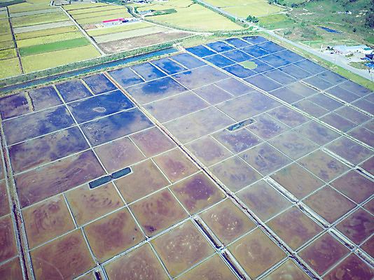 포토 JPG 주간 여행 한국 풍경 사람없음 야외 하이앵글 가을 항공촬영 곰소염전 국내여행 전경 국내포토 자연요소 계절 아시아 뷰포인트 부안 염전 파일형식 탑뷰