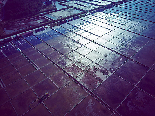 포토 JPG 주간 여행 한국 풍경 사람없음 야외 하이앵글 가을 항공촬영 곰소염전 국내여행 전경 국내포토 자연요소 계절 아시아 뷰포인트 부안 염전 파일형식 탑뷰