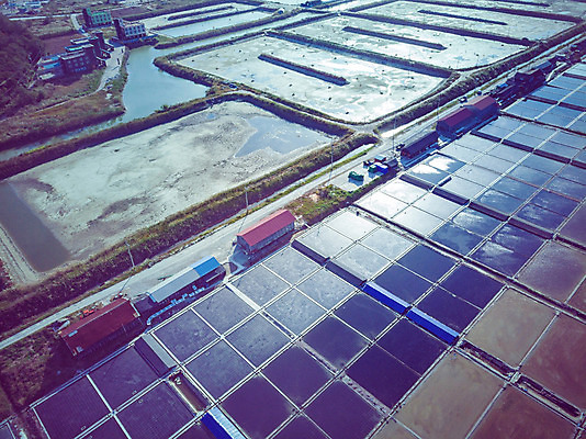 포토 JPG 주간 여행 한국 풍경 사람없음 야외 하이앵글 가을 항공촬영 곰소염전 국내여행 전경 국내포토 자연요소 계절 아시아 뷰포인트 부안 염전 파일형식 탑뷰