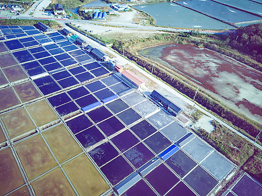 포토 JPG 주간 여행 한국 풍경 사람없음 야외 하이앵글 가을 항공촬영 곰소염전 국내여행 전경 국내포토 자연요소 계절 아시아 뷰포인트 부안 염전 파일형식 탑뷰