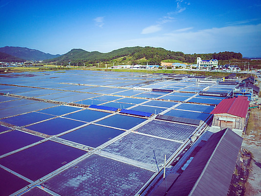 포토 JPG 주간 구름 여행 하늘 한국 풍경 사람없음 야외 하이앵글 가을 항공촬영 곰소염전 국내여행 전경 국내포토 자연요소 계절 아시아 뷰포인트 부안 염전 파일형식 탑뷰