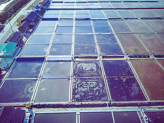 포토 JPG 주간 여행 한국 풍경 사람없음 야외 하이앵글 가을 항공촬영 곰소염전 국내여행 전경 국내포토 자연요소 계절 아시아 뷰포인트 부안 염전 파일형식 탑뷰