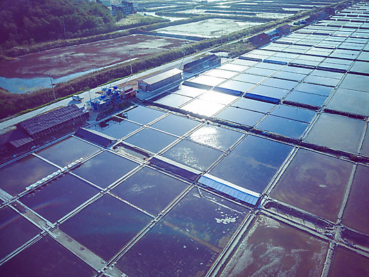 포토 JPG 주간 여행 한국 풍경 사람없음 야외 하이앵글 가을 항공촬영 곰소염전 국내여행 전경 국내포토 자연요소 계절 아시아 뷰포인트 부안 염전 파일형식 탑뷰