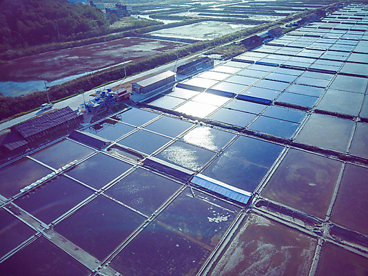 포토 JPG 주간 여행 한국 풍경 사람없음 야외 하이앵글 가을 항공촬영 곰소염전 국내여행 전경 국내포토 자연요소 계절 아시아 뷰포인트 부안 염전 파일형식 탑뷰