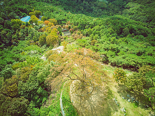 포토 JPG 주간 여행 한국 풍경 사람없음 야외 하이앵글 가을 항공촬영 국내여행 부여 전경 가림산성 성흥산 국내포토 자연요소 계절 아시아 뷰포인트 산 충청남도 산성 파일형식 탑뷰