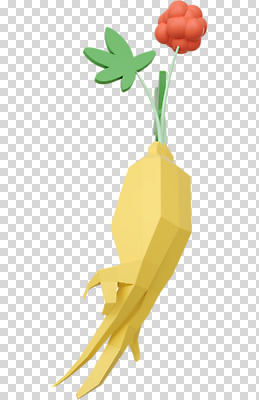 편집 편집이미지 누끼 사람없음 한개 3D소스 3D 산삼 인삼 디지털합성 PNG 인삼꽃 폴리곤 로우폴리 편집소스 1 꽃 삼 파일형식