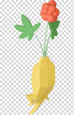 편집 편집이미지 누끼 사람없음 한개 3D소스 3D 산삼 인삼 디지털합성 PNG 인삼꽃 폴리곤 로우폴리 편집소스 1 꽃 삼 파일형식