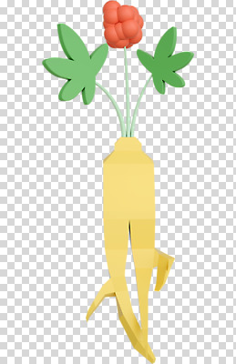 편집 편집이미지 누끼 사람없음 한개 3D소스 3D 산삼 인삼 디지털합성 PNG 인삼꽃 폴리곤 로우폴리 편집소스 1 꽃 삼 파일형식