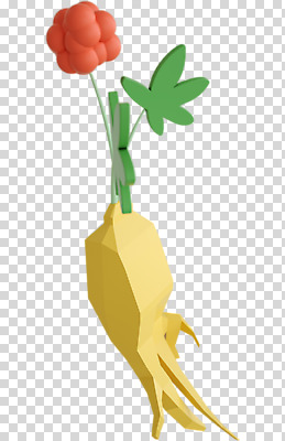 편집 편집이미지 누끼 사람없음 한개 3D소스 3D 산삼 인삼 디지털합성 PNG 인삼꽃 폴리곤 로우폴리 편집소스 1 꽃 삼 파일형식