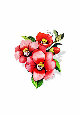 PSD 식물 꽃 잎 일러스트 봄꽃 사람없음 빨간색 동백 디테일 국내일러스트 컬러 봄 파일형식