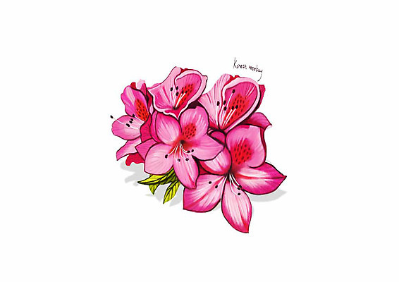 PSD 식물 꽃 분홍색 잎 일러스트 봄꽃 사람없음 진달래 디테일 국내일러스트 컬러 봄 파일형식