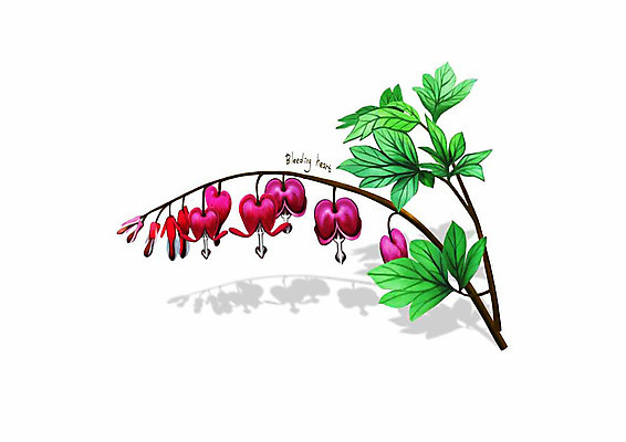 PSD 식물 꽃 분홍색 잎 일러스트 봄꽃 사람없음 금낭화 디테일 국내일러스트 컬러 봄 파일형식