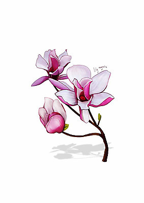 PSD 식물 분홍색 잎 일러스트 봄꽃 사람없음 꽃가지 자목련 디테일 국내일러스트 꽃 컬러 봄 나뭇가지 목련 파일형식