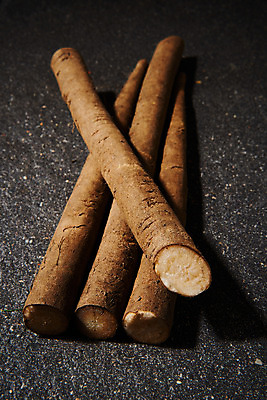 포토 JPG 스튜디오촬영 채소 식재료 검은배경 실내 건강 사람없음 오브젝트 우엉 국내포토 백그라운드 내부 검은색 파일형식