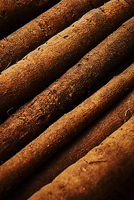 포토 JPG 스튜디오촬영 채소 식재료 실내 건강 근접촬영 사람없음 갈색 오브젝트 우엉 국내포토 뷰포인트 컬러 내부 파일형식