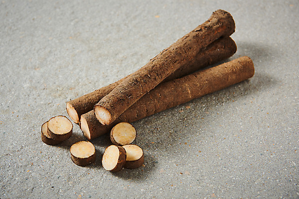 포토 JPG 스튜디오촬영 채소 식재료 회색배경 실내 건강 사람없음 회색 오브젝트 우엉 국내포토 컬러 백그라운드 내부 파일형식