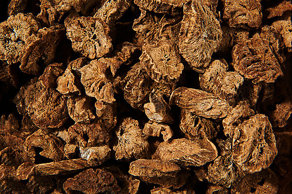 포토 JPG 스튜디오촬영 채소 식재료 실내 건강 근접촬영 사람없음 하이앵글 갈색 오브젝트 우엉 플랫레이 볶은우엉 국내포토 뷰포인트 컬러 내부 플랫 파일형식