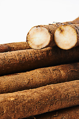 포토 JPG 스튜디오촬영 채소 식재료 단면 실내 건강 근접촬영 사람없음 오브젝트 흰배경 우엉 국내포토 뷰포인트 백그라운드 내부 흰색 파일형식