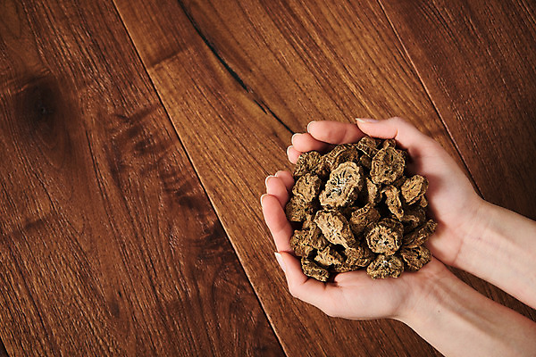 포토 JPG 스튜디오촬영 손 여자 채소 식재료 실내 건강 한명 들기 사람없음 신체부위 하이앵글 갈색 차 오브젝트 나무바닥 우엉 플랫레이 갈색배경 우엉차 볶은우엉 국내포토 1 음료 뷰포인트 컬러 백그라운드 모션 바닥 사람 내부 차_음료 플랫 파일형식